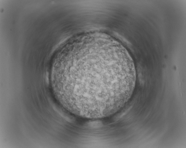 X0000076060067200610152213