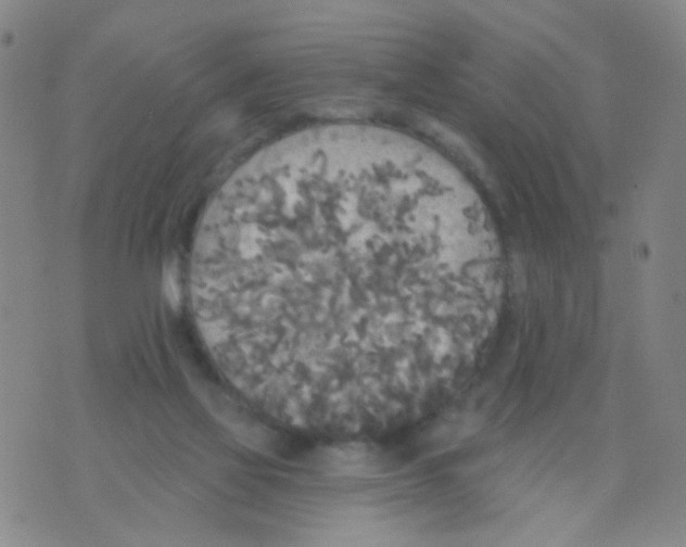 X0000076060069200610152213