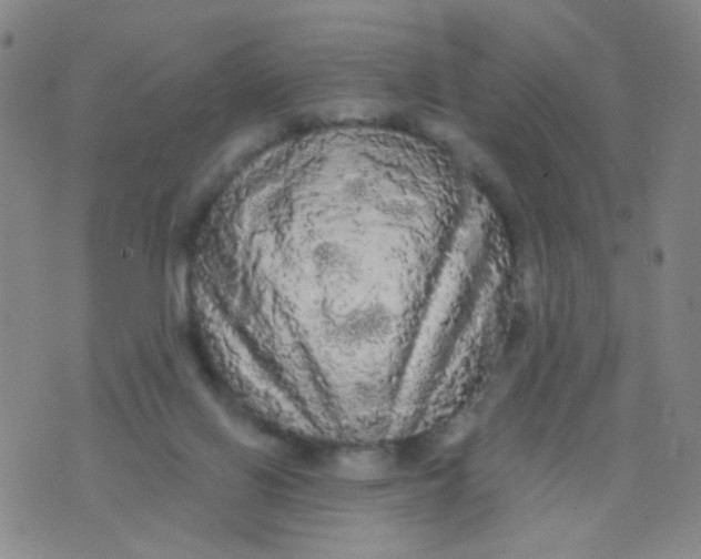 X0000076060070200610152213