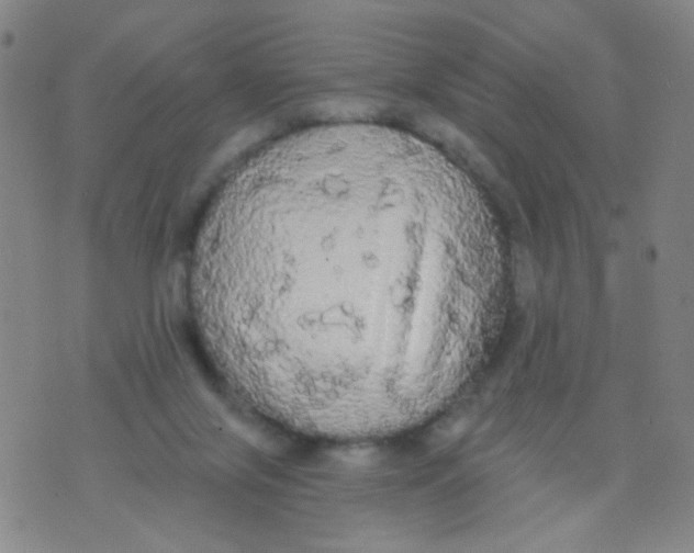 X0000076060071200610152213