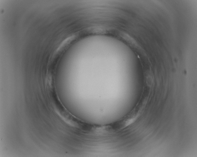 X0000076060072200610152213