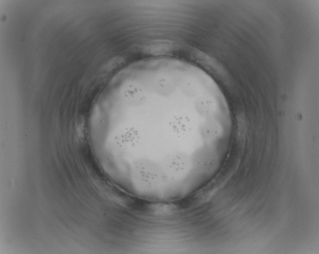 X0000076060073200610152213