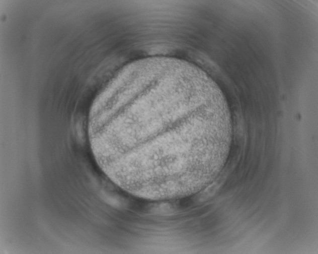 X0000076060074200610152213