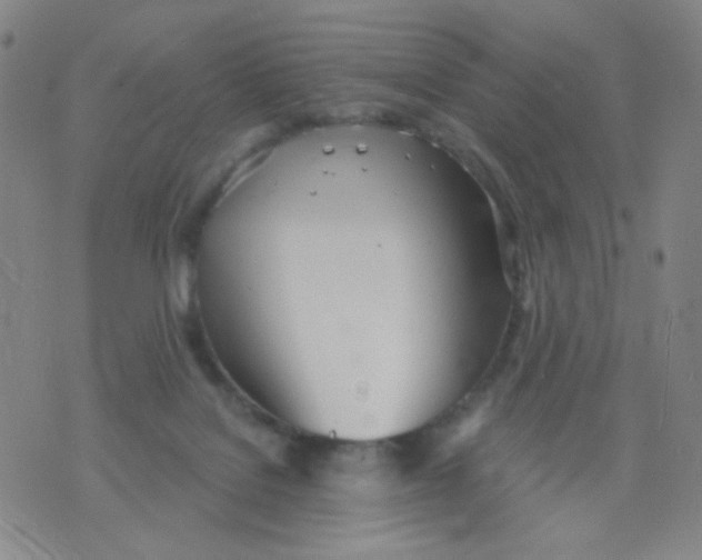 X0000076060076200610152213