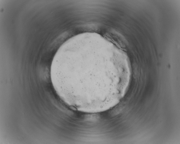 X0000076060077200610152213