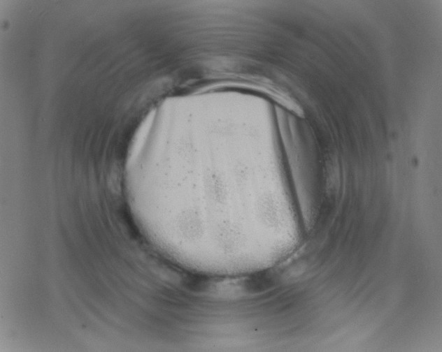 X0000076060078200610152213