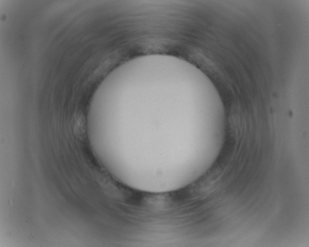 X0000076060079200610152213