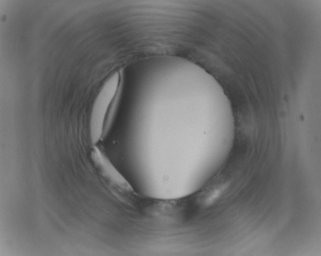 X0000076060080200610152213