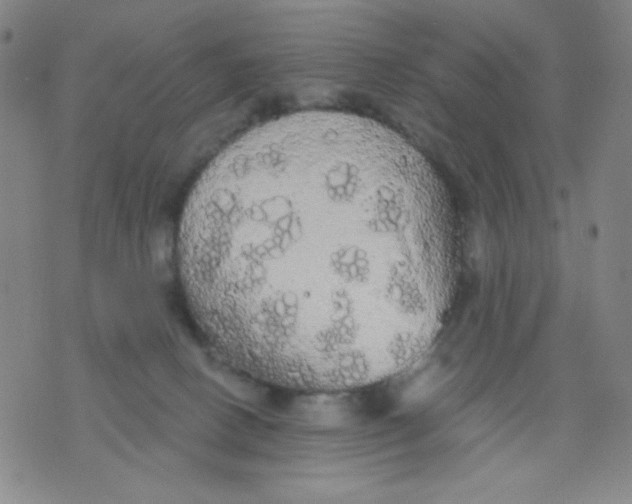 X0000076060082200610152213