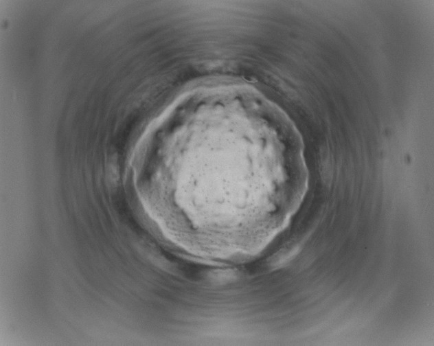 X0000076060085200610152213