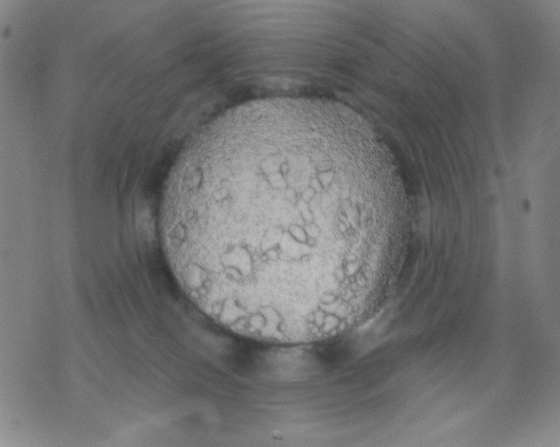 X0000076060086200610152213