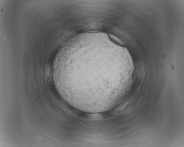 X0000076060087200610152213