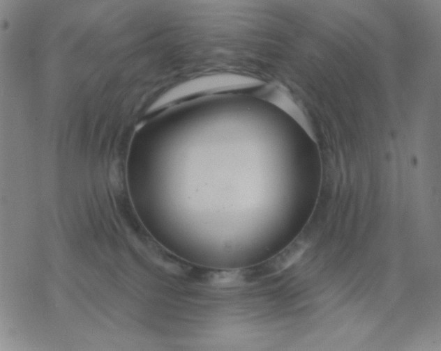 X0000076060088200610152213