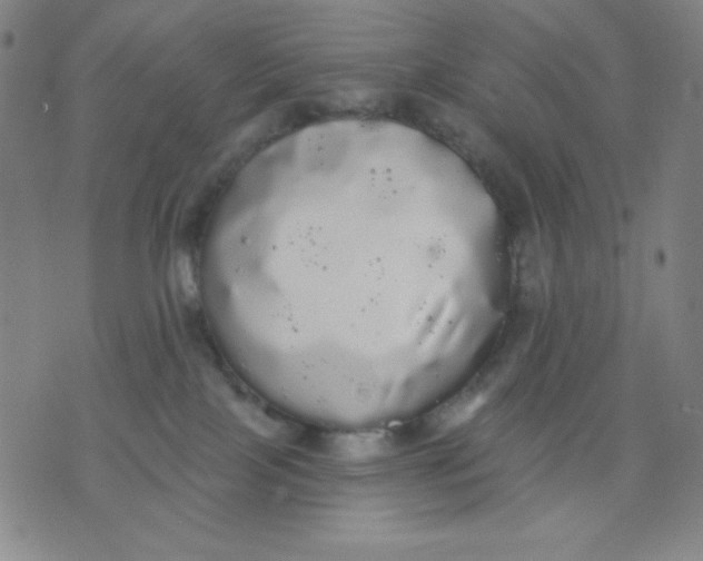 X0000076060089200610152213