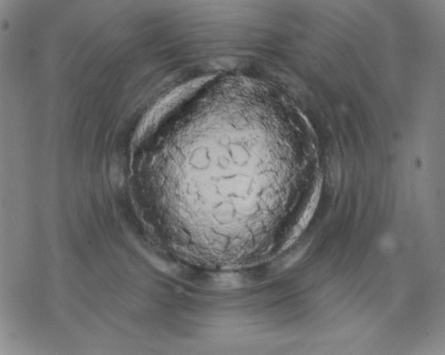 X0000076060091200610152213