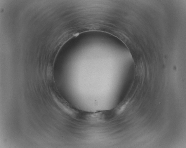 X0000076060092200610152213