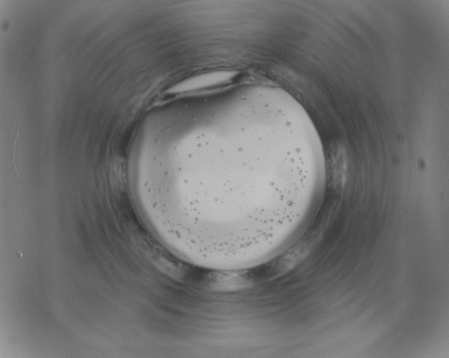 X0000076060093200610152213