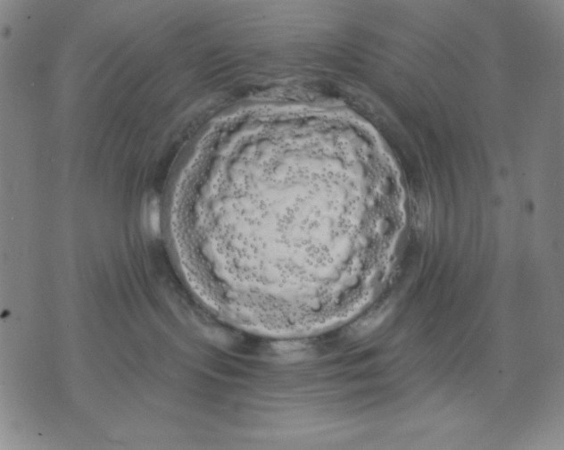 X0000076060095200610152213