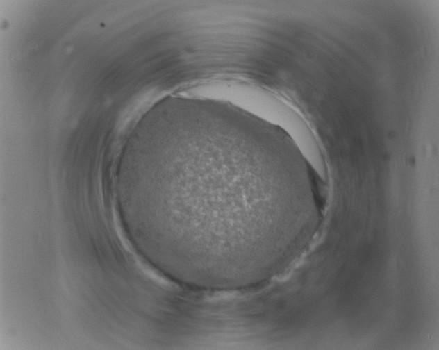 X0000076060097200610152212