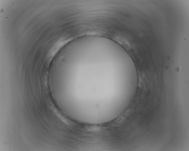 X0000076060098200610152212