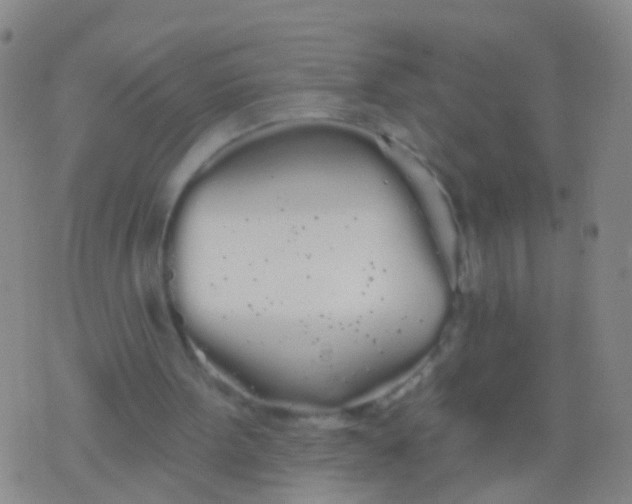 X0000076060099200610152212