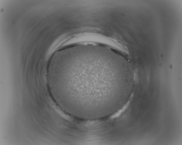 X0000076060101200610152212