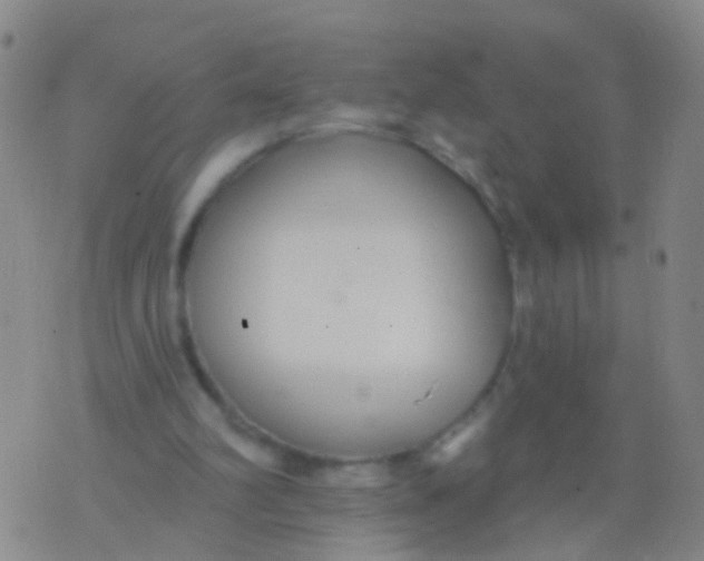 X0000076060102200610152212