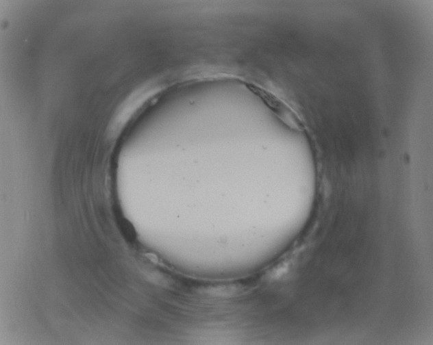 X0000076060103200610152212