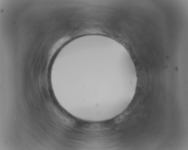 X0000076060104200610152212