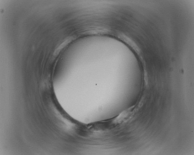 X0000076060105200610152212