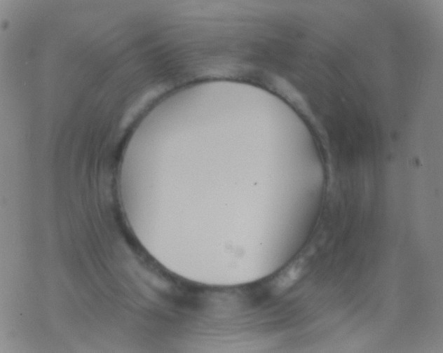 X0000076060106200610152212