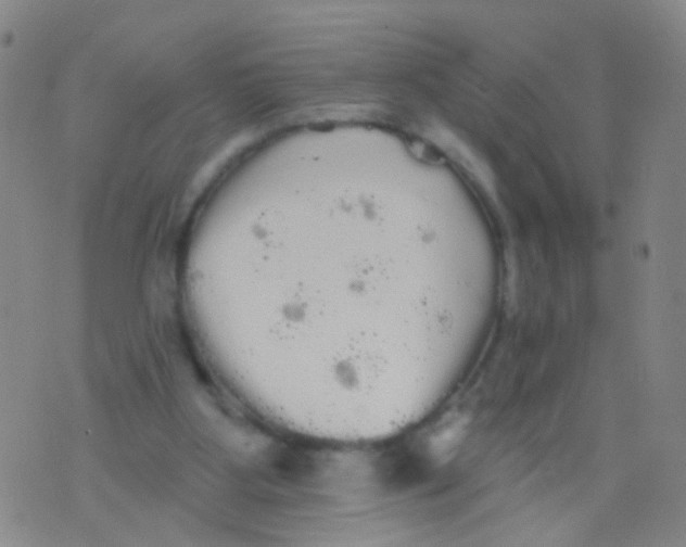 X0000076060107200610152212