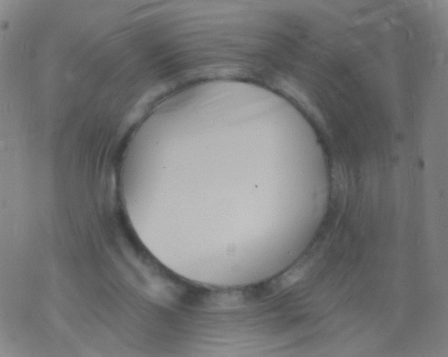 X0000076060110200610152212