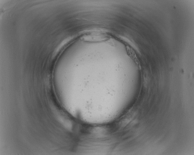 X0000076060111200610152212