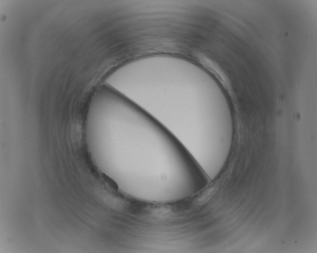 X0000076060113200610152212