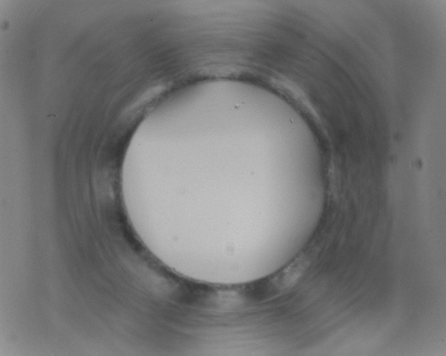 X0000076060114200610152212