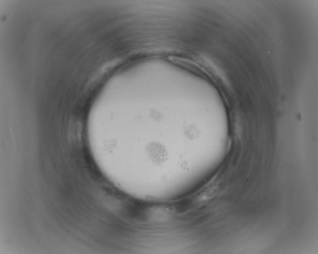 X0000076060115200610152212