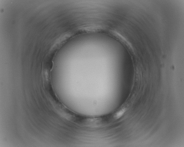 X0000076060117200610152212