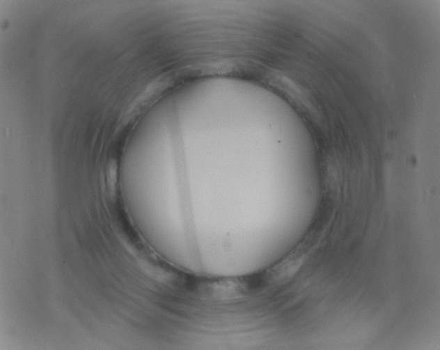 X0000076060118200610152212