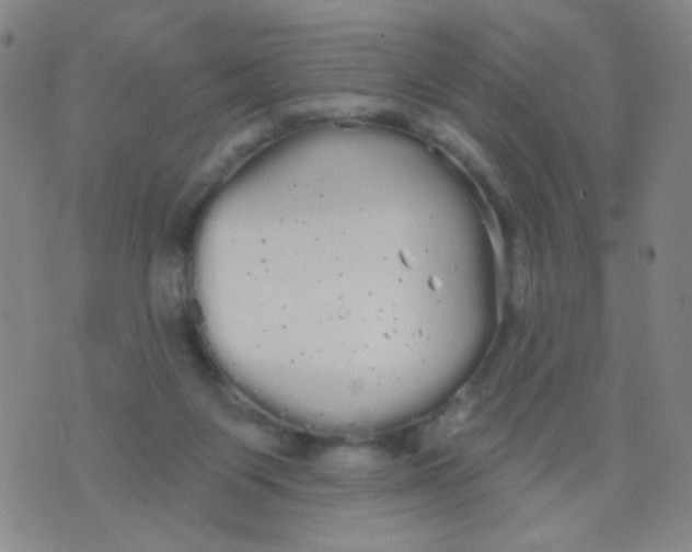 X0000076060119200610152212