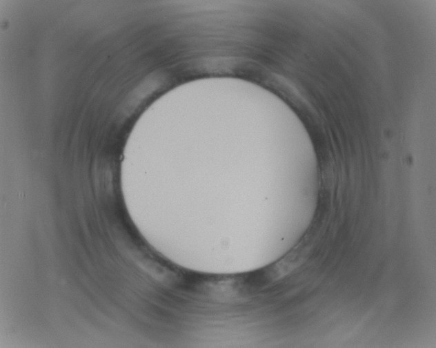 X0000076060120200610152212