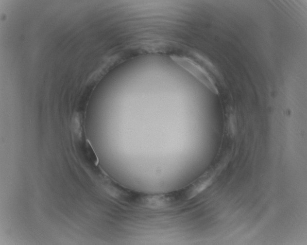 X0000076060121200610152212