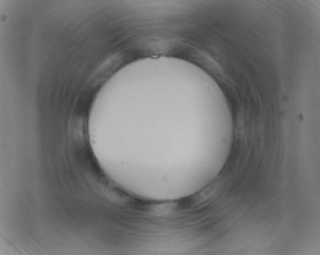 X0000076060122200610152212