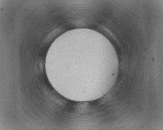 X0000076060124200610152212