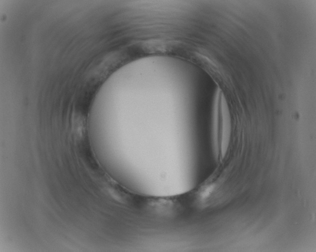 X0000076060125200610152212