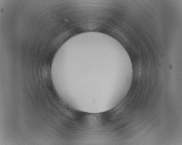 X0000076060126200610152212