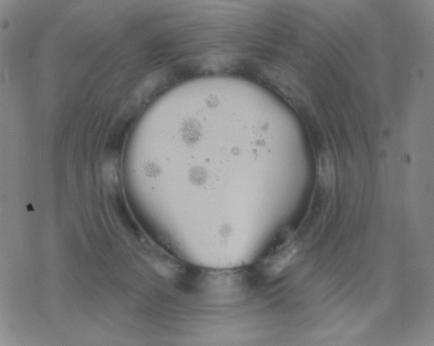 X0000076060127200610152212