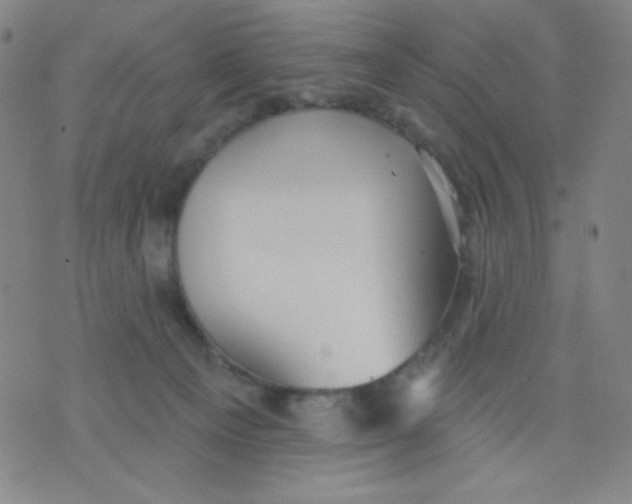 X0000076060129200610152212