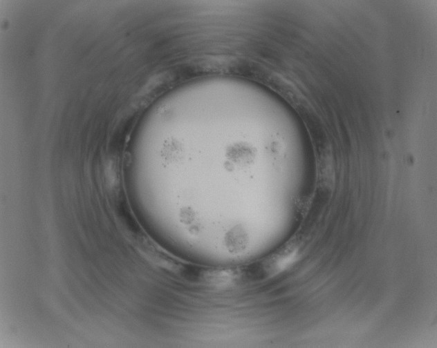 X0000076060131200610152212