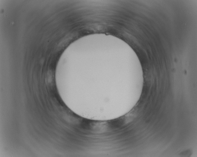 X0000076060132200610152212